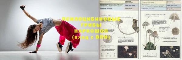прущая мука Верея