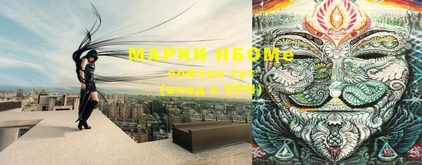 прущая мука Верея