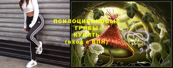 гидра Верхнеуральск
