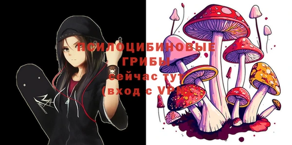 гидра Верхнеуральск