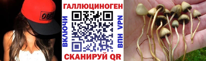 наркошоп  Вятские Поляны  Галлюциногенные грибы Psilocybe 